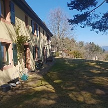 v e n d u e  -----   Alsace 68910, Labaroche, Colmar 15 mn, proche Route des Vins, Golf de Ammerswihr, vue Château de Haut-Koenigsbourg: Cadre paradisiaque, magnf. Propriété 340 m² sur 1 hectare / 2 logements avec accès séparés / 9 pièces, 5 chambres, 2 SdB + 3 SdEau, 2 cuisines, 2 salons / vaste mezzanine + bibliothèque / 2 poêles + cuisinière bois + chauf. fuel...