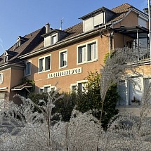 Leymen, à deux pas de Biel Benken/CH Suisse, Tram n°10, centre; 15 à 25 min de Bâle/Reinach/Aesch/ISB/Autoroutes CH 3+18, A 35 + A 5, €-Airport: Charmant ensemble restaurant renommé (licence IV) type Bodega / habitation (3 appartements loués) + superbe grange aménageable. Grande salle de réception + bar  / cuisine professionnelle. Magnifique vue dégagée. 