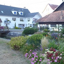 Secteur Leymen / Oltingue, à 2 pas de Ferrette. Bâle, Aesch, Reinach, ISB, env. 20 à 30 min: Ensemble d'env. 445 m² divisée en 4 appartements (2 gîtes) entièrement meublé / habitation principale avec 4 chambres, 1 bureau, 1 salle de bain / salon-séjour, kachelofen env. 60 m², magnf. véranda XXL avec grandes baies vitrées, cuisine sur mesure de qualité. Situation idyllique, très ensoleillée, en bordure de ruisseau, proche toutes commodités...