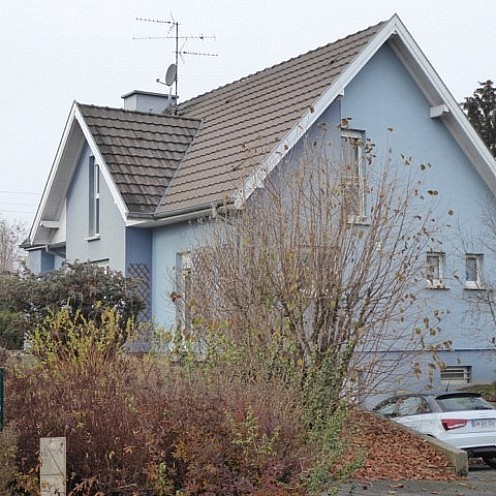 V e n d u e  -----   Sect. Waldighoffen, à env. 3