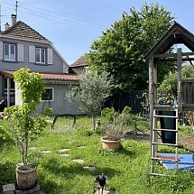 Secteur frontalier, Rosenau / Village Neuf / Huningue; à 5 - 10 min Palmrain et Allemagne, A 35 + A 5, Airport, Bâle: Belle maison de village env. 105 m² style classique / beau salon-séjour env. 30 m², cuisine / 2 chambres, 1 salle de bain, 1 mezzanine, 1 studio au sous-sol avec 1 chambre et 1 salle de bain + cuisine. Situation rare et calme! Très proche du centre et toutes les infrastructures de base, ruelle sans circulation!