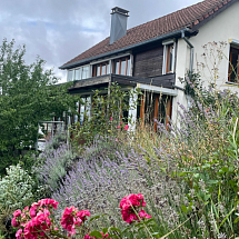 v e n d u e  ------ Pieds des Vosges, proche du Grand Ballon d'Alsace, Sect. Willer sur Thur / Altenach-Goldbach, env. 20 - 60 min Thann, Mulhouse, Colmar, Basel, Freiburg. Situation très au calme + idyllique, sise semi-isolée avec vue panoramique sur Les Vosges, village, beau paysage: Charmante maison d'architecte surélevée env. 130 m² / gr. salon-séjour avec poêle à bois env. 35 m², gr. baies vitrées, véranda env. 20 m² / 1 chambre + combles aménagés en open space env. 50 m² (idéale 2 Càc en plus) avec balcon + véranda...
