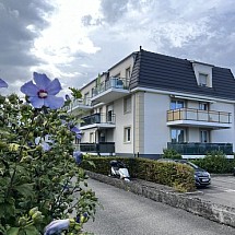 Vendu  ----  Secteur frontalier, Rosenau / Village Neuf / Bartenheim; à 5 - 10 min Allemagne, CH, A 35 + A 5, Airport, Basel: Bel appartement env. 45 m² / 1 chambre, 1 salle de bain, 1 WC séparé / grand espace de vie + cuisine équipée env. 25 m². Situation très calme en impasse, vue dégagée, pas de circulation (ruelle à sens unique), proche écoles + canal du Rhin!