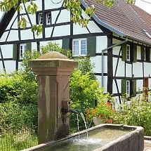 v e n d u e  -----   Sundgau, à 15 - 35 min env. d'Altkirch, Weil D et Bâle. Situation idyllique, très au calme & ensoleillée, sur les hauteurs: Magnifique Propriété env. 200 m² en excellent état + potentiel grange attenante env. 300 m². Beau Salon-séjour avec cheminée insert, baies vitrées, belle cuisine. 3 chambres / tb SdB! 1 Appart séparé 55 m²...

