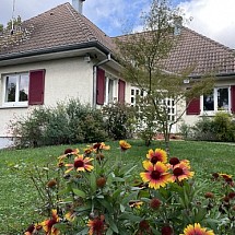 Sect. Mulhouse - Kingersheim - Illzach, à 5-30 min de l'A35/36, Mulhouse, Airport, Bâle, Colmar: Villa Plain pied env. 115 m² / Salon-séjour env. 40 m² + kachelofe, accès terrasse et jardin, cuisine séparée / 2 chambres (+ 2 chambres au sous-sol), 1 SdB, 1 salle d'eau. Situation idyllique, quartier résidentiel!