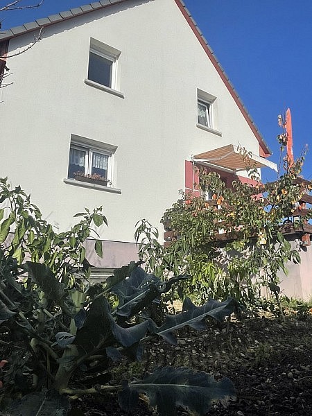 Louée / vermietet / already rent***: Axe Basel - 