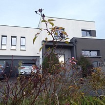 v e n d u e   ----  Secteur St. Louis - Village Neuf - Huningue - Blotzheim/Airport: Ravissante Villa toit plat 160 m², style contemporain, top agencée, XXL baies vitrées / belle entrée, gr. placard intégré, accès garage double / espace de vie avec cuisine ouverte env. 60 m², poêle à bois / 3 chambres + 1 chambre d'amis, 2 salles de bain, 1 coin bureau, 1 mezzanine. Situation très calme, quartier international. Proche Canal du Rhin, Distribus et piste vélo pour Bâle...