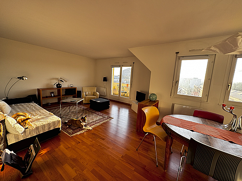 St. Louis centre, proche fleuve Le Rhin, Centre, B