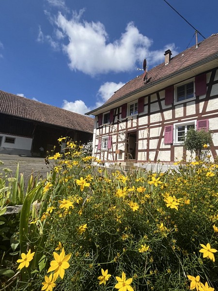 Louée / vermietet / already rent *** Axe Bâle - 