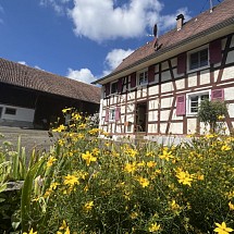 Louée / vermietet / already rent *** Axe Bâle - Altkirch RN 419, Secteur Helfrantzkirch, Jettingen, Berentzwiller: Très au calme, en impasse, superbe corps de ferme env. 135 m² / salon-séjour avec kachelofen, cuisine séparée / 4 chambres, 1 salle d'eau, 1 SdB, 2 WC / combles pour stockage. Vue dégagée sur champs!