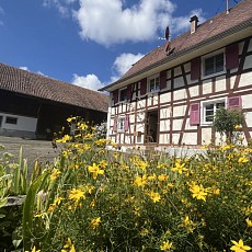 Louée / vermietet / already rent *** Axe Bâle - Altkirch RN 419, Secteur Helfrantzkirch, Jettingen, Berentzwiller: Très au calme, en impasse, superbe corps de ferme env. 135 m² / salon-séjour avec kachelofen, cuisine séparée / 4 chambres, 1 salle d'eau, 1 SdB, 2 WC / combles pour stockage. Vue dégagée sur champs!