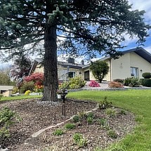 Sect. frontalier, Schönenbuch, Hagenthal, Hégenheim, Allschwil: Magnifique Plain Pied env. 255 m² / grand espace de vie avec hauts plafonds env. 85 m², belle cheminée, 3 sorties sur les terrasses / 4-5 chambres dont 1 master, 3 SdB / combles aménageables. Situation calme & idyllique, proche centre + Bâle, à 10 min du TRAM n°10, idéale frontaliers, international people!
