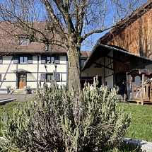 Secteur Seppois (5 min), Friesen, Hirsingue, Altkirch. Airport, Basel, Palmrain/D env. 30 - 40 min. Tr. belle maison type ferme de 320 m² entièrement rénovée / grand salon-séjour 60 m² / salle de musique / excellente cuisine 40 m², baies vitrées / 4 chambres (dont 1 appart), 2 SdB de luxe. Situation au calme avec cour, pré et ruisseau attenant.
