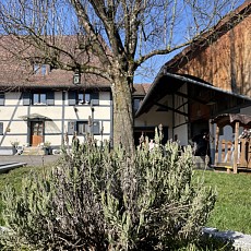 Secteur Seppois (5 min), Friesen, Hirsingue, Altkirch. Airport, Basel, Palmrain/D env. 30 - 40 min. Tr. belle maison type ferme de 320 m² entièrement rénovée / grand salon-séjour 60 m² / salle de musique / excellente cuisine 40 m², baies vitrées / 4 chambres (dont 1 appart), 2 SdB de luxe. Situation au calme avec cour, pré et ruisseau attenant. 