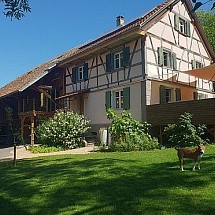 Triangle Basel-Altkirch-Sierentz, Sundgau, env. 20 min des frontières Suisse + Allemagne, Mulhouse: Magnifique & luxurieux corps de ferme env. 240 m² avec charme & cachet / superbe salon séjour 60m² avec cheminée, balcon. US cuisine + gr. salle à manger / 4 - 5 chambres (dont 1 master avec dressing + SdB ensuite) + 1 LOFT, div. terrasses. Situation idyllique et campagnarde, ensoleillée; ruelle très au calme; vue dégagée..!
