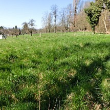 Axe Bâle - Altkirch, Sect. Jettingen, Franken, Zaessingue; à 10 min Sierentz et Altkirch, à 15 - 20 min Airport, Novartis, Bâle: Magnifique terrain légèrement en pente env. 54 ares (dont 15 ares constructibles). Situé très au calme, en bordure de village, ensoleillé!
