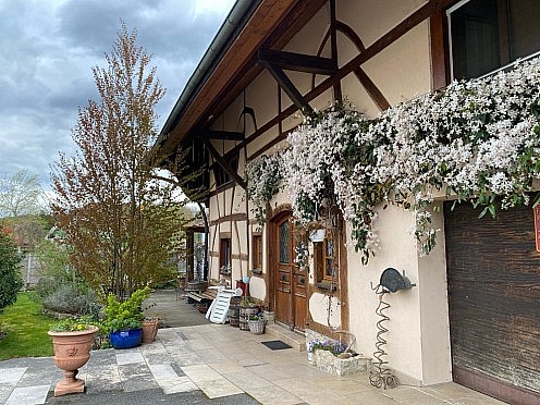 Sect. Jettingen/RN 419, Knoeringue, Ranspach, Wind