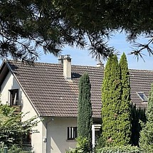 Sundgau proche Waldighoffen (à 2 pas), env. 7 - 25 min Ferrette, Leymen/Tram, Hirsingue, Airport, Basel, Mulhouse, ISB Aesch: Belle & spacieuse maison env. 180 m² / vaste double salon séjour env. 30 m², poêle en faïence, cuisine séparée / 6 chambres, 2 salles d'eau, 2 WC. Situation idyllique entourée de champs + forêts, très au calme + ensoleillée, sur les hauteurs avec vue verte dégagée!
