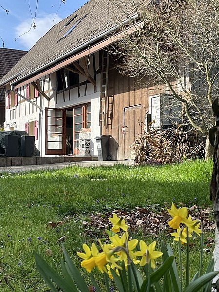 Région frontalière, Sect. Hagenthal, Hégenheim,