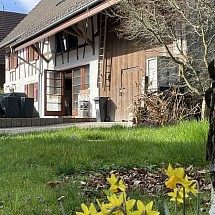 Région frontalière, Sect. Hagenthal, Hégenheim, Leymen, Schönenbuch, à env. 10 - 15 min Allschwil, Basel, Airport, Palmrain/Allemagne: Superbe Corps de ferme rénové env. 180 m², charme et cachet assuré / grand espace de vie avec poêle à bois env. 30 m² /  4 chambres de bonnes tailles, 1 salle de bain, 1 salle d'eau, XXL, buanderie. Mezzanine. Combles avec espace type Loft 45 m².  Situation idyllique, très au calme, proche de toutes commodités!